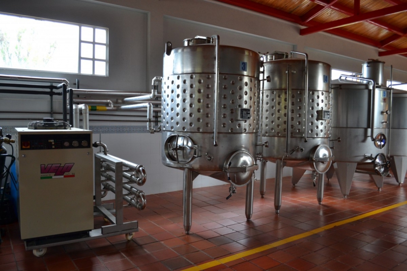 cave-MEOUNES LES MONTRIEUX-min_wine_production_cantine_winery_drink_alcohol_vine_beverage-902036